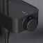 Душевая система AM.PM Inspire 2.0 F0750A522 стойка с тропическим душем, термостатом, смесителем, изливом, черная матовая