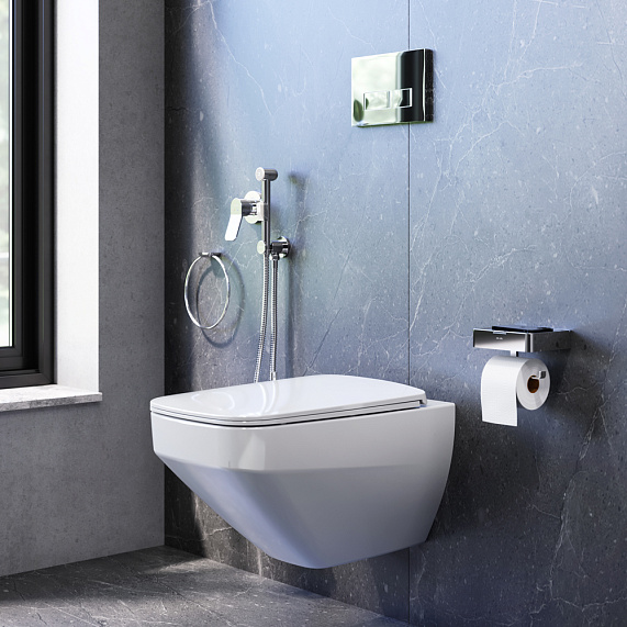 Секция гигиены AM.PM Inspire 2.0 CK50GD-2